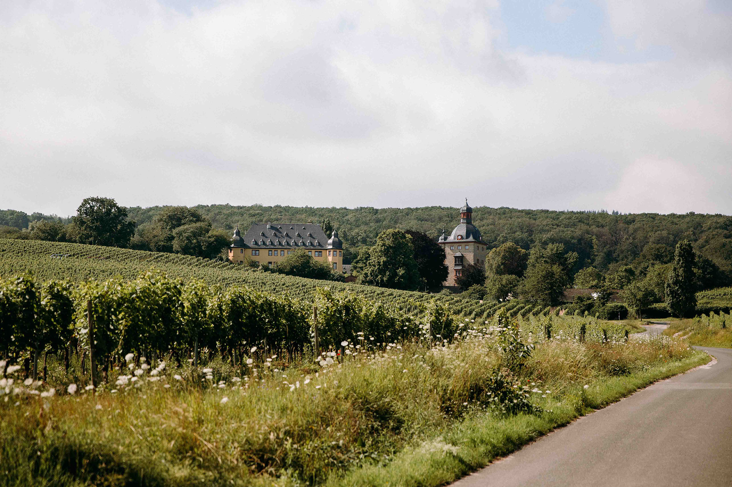Schloss Vollrads eingebettet in Weinberge – eine der schönsten Hochzeitslocations im Rheingau.